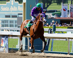 California Chrome is the Morning Line Favorite for the 2014 Kentucky Derby 